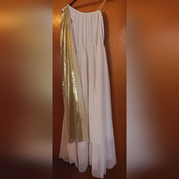 Greek Goddess Hallowe'en Gown, Size Adult Extra Large - Picture 3 of 4